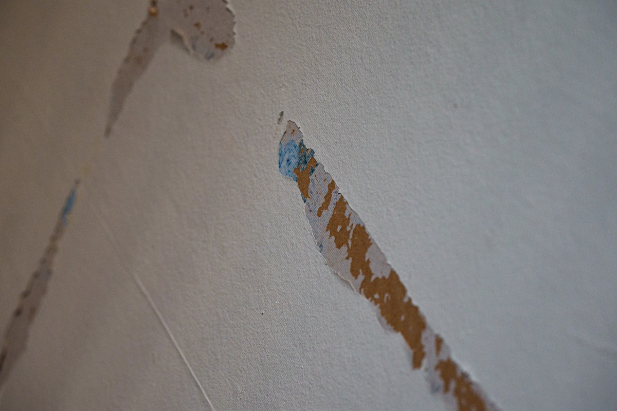 Structural Drying service in Boulder, CO
